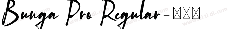 Bunga Pro Regular字体转换 Bunga Pro Regular字体转换